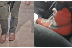 Orange Shoes Lead to Arrest of Cannabis Farm Burglar