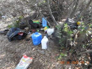 Image From Scene - Courtesy of CCSO