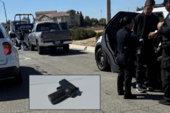 Traffic Stop Leads to Narcotics Arrest and Seizure of Replica Firearm