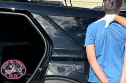 Suspect Arrested in Desert Hot Springs After Business Vandalism, Robbery, and Exposure Incident