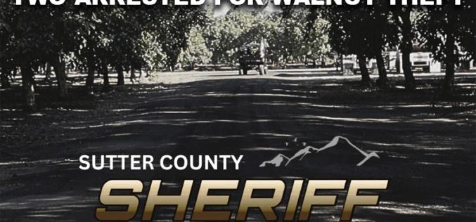 Traffic Stop Leads to Arrest of Two Marysville Residents for Walnut Theft in Sutter County