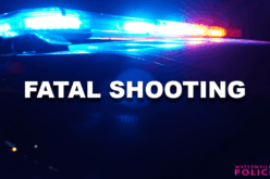 Police Investigate Fatal Shooting in Watsonville; 16-Year-Old Arrested in Separate Nearby Incidents