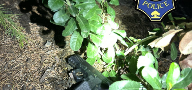 Woman Arrested for Multiple Firearms Offenses at a Parking Lot