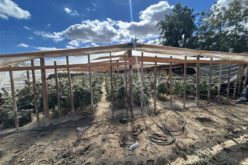 Kern County Authorities Arrest Five Individuals in Connection with Illegal Cannabis Grow Operations
