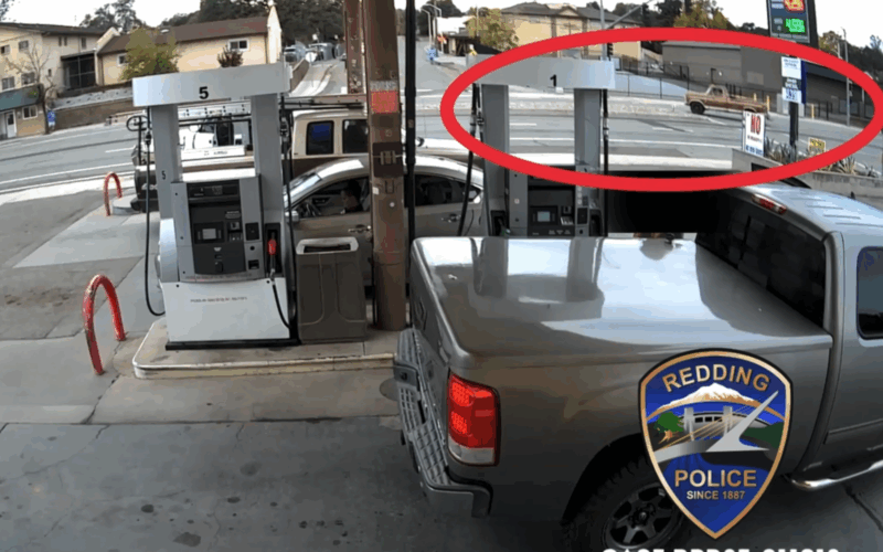 Redding Man Arrested for Allegedly Driving Drunk & Causing Traffic Collision