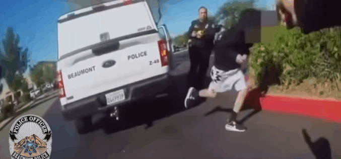 Driver Arrested on Evading and Resisting Charges After Foot Chase