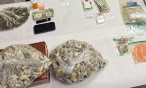 Evidence - Courtesy of Livermore PD