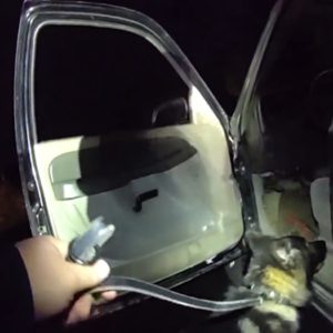 Image from K9 Narcotics Sniff - Courtesy of Sonora PD