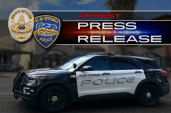 Palm Springs Man Arrested in Yorkie Theft Case; Second Suspect and Dog Remain Missing