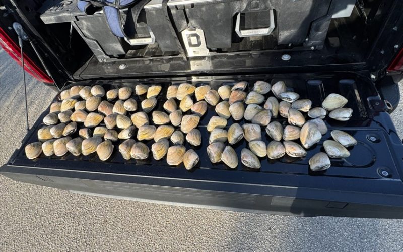 Four Individuals Cited for Illegal Clamming, 93 Undersized Pismo Clams Recovered