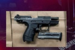 Traffic Stop in Webster Area Leads to Discovery of 15 Firearms