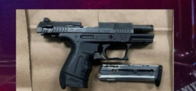 Traffic Stop in Webster Area Leads to Discovery of 15 Firearms
