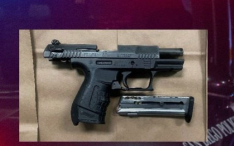 Traffic Stop in Webster Area Leads to Discovery of 15 Firearms