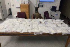 TCSO K9 ‘Turbo’ Detects 90 Pounds of Methamphetamine During Traffic Stop, Leads to Further Seizures