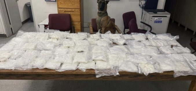TCSO K9 ‘Turbo’ Detects 90 Pounds of Methamphetamine During Traffic Stop, Leads to Further Seizures