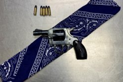 Convicted Felon and Validated Gang Member Arrested for Concealed Firearm Possession in Woodland
