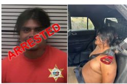Fugitive Wanted for Kidnapping and Attempted Murder Apprehended