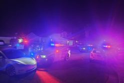 Vehicle Pursuit Ends in Arrest Following Cannabis Facility Burglary