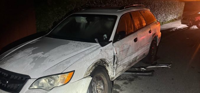 Santa Cruz Resident Arrested for DUI Following Hit-and-Run Crash