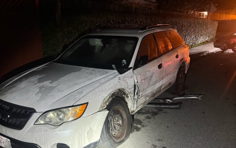 Santa Cruz Resident Arrested for DUI Following Hit-and-Run Crash