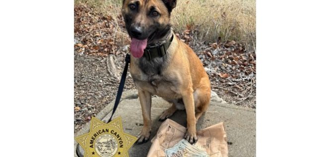K9 Officer Nova Aids in Apprehension, Stolen Currency Recovery After Traffic Collision