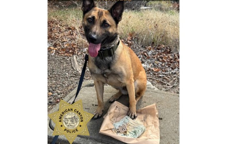 K9 Officer Nova Aids in Apprehension, Stolen Currency Recovery After Traffic Collision