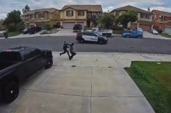 Erratic Subject Apprehended After Brief Foot Chase, Vehicle Vandalism