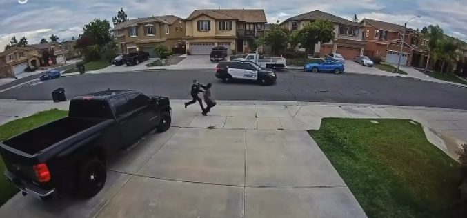 Erratic Subject Apprehended After Brief Foot Chase, Vehicle Vandalism