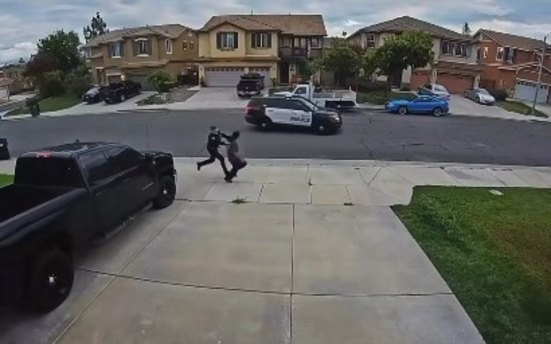 Erratic Subject Apprehended After Brief Foot Chase, Vehicle Vandalism