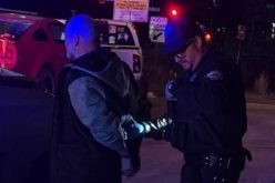 Truckee Police Intercept Stolen Vehicle, Apprehend Driver