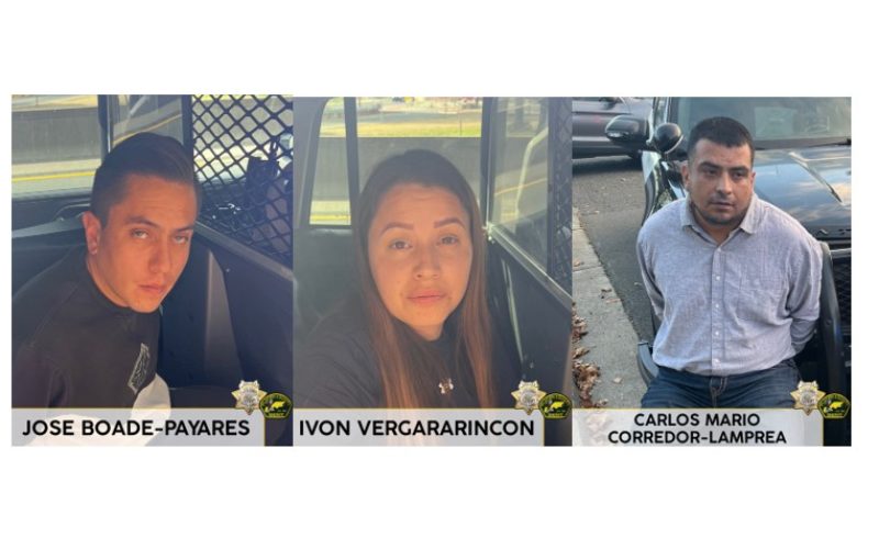 Organized Retail Theft Arrests: Sheriff Woo Cites SB 54 as Barrier to Public Safety