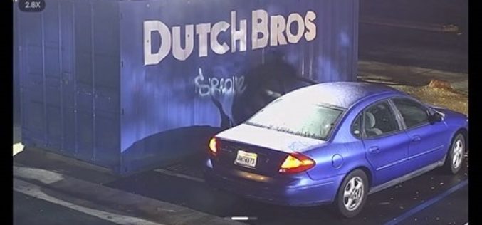 Woodland Resident Arrested for Felony Vandalism Following Online Report