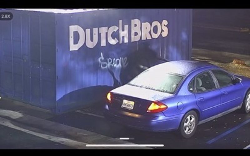 Woodland Resident Arrested for Felony Vandalism Following Online Report