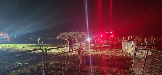 More than 200 Animals Rescued Following Animal Welfare Check