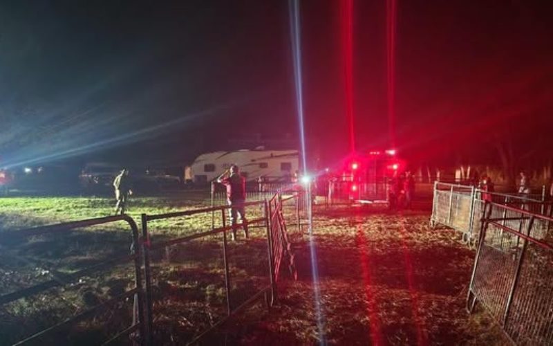 More than 200 Animals Rescued Following Animal Welfare Check