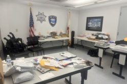 Police Apprehend Suspects Following Reported Mail Theft in Sea Haven Community