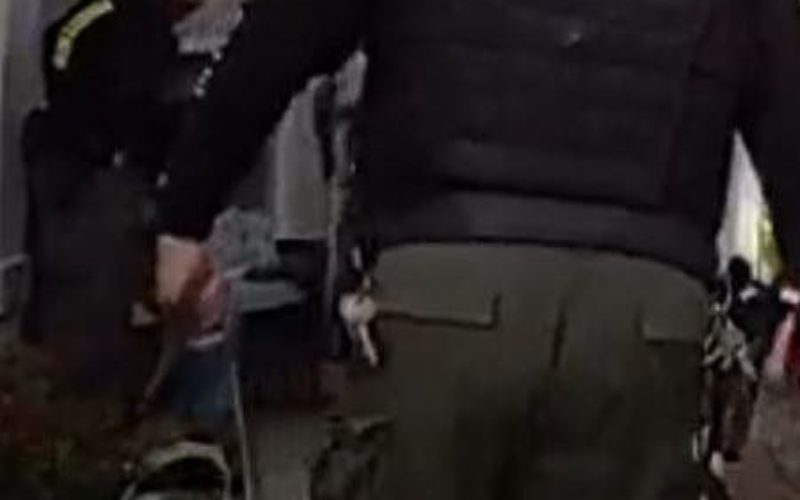 Two Registered Sex Offenders Arrested in Folsom