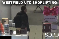 Woman Arrested for Shoplifting and Trespassing at Westfield UTC During Holiday Patrol