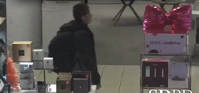 Woman Arrested for Shoplifting and Trespassing at Westfield UTC During Holiday Patrol