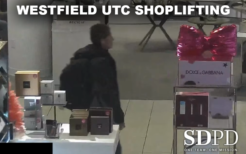 Woman Arrested for Shoplifting and Trespassing at Westfield UTC During Holiday Patrol