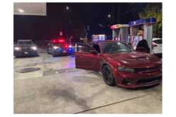 Healdsburg Police Allegedly Catch Man Driving Stolen Vehicle