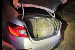 Nine Arrested Following In-Progress Burglary at Salinas Cannabis Facility