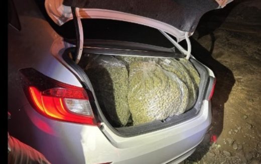 Nine Arrested Following In-Progress Burglary at Salinas Cannabis Facility