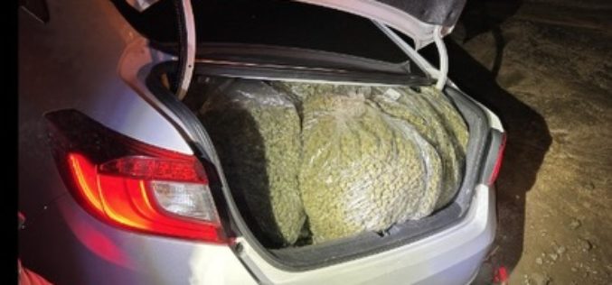 Nine Arrested Following In-Progress Burglary at Salinas Cannabis Facility