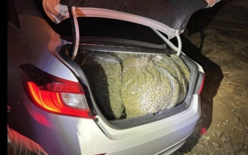 Nine Arrested Following In-Progress Burglary at Salinas Cannabis Facility