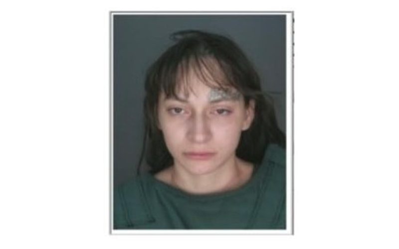 Driver Arrested for Vehicular Manslaughter, Child Endangerment Following Fatal Colton Collision