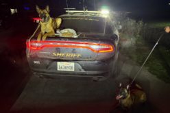 Monterey County Sheriff’s Deputies Arrest Man on Narcotics Charges in Castroville