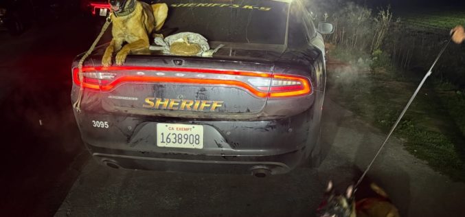 Monterey County Sheriff’s Deputies Arrest Man on Narcotics Charges in Castroville