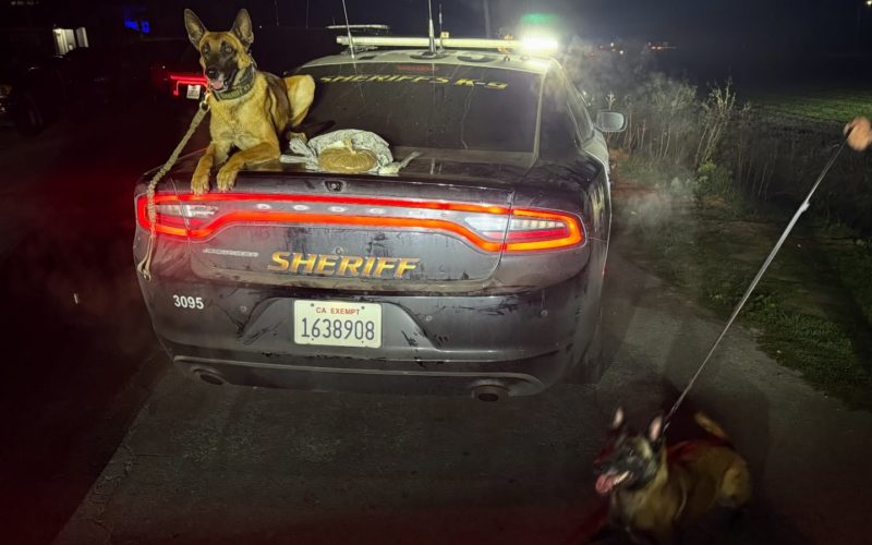 Monterey County Sheriff’s Deputies Arrest Man on Narcotics Charges in Castroville