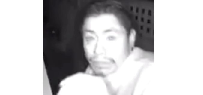 Law Enforcement Update: Prowler Arrest in Carmel-by-the-Sea